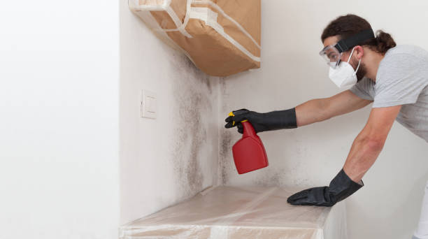 Professional Mold Testing technician working in Roslyn, NY